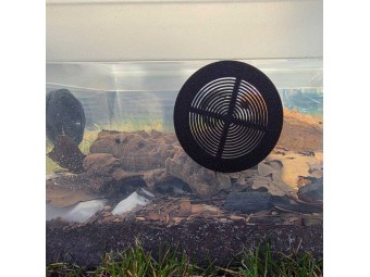 Grille d'aération 50mm pour Terrarium et Boîte d'élevage 🌬️