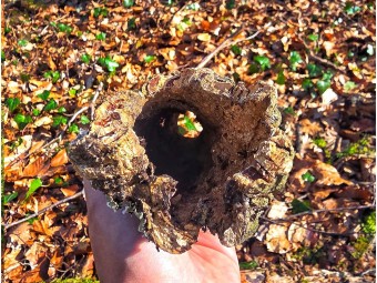 Tube d’écorce de liège naturel pour terrarium | Décor 100% naturel