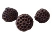 Cosses de lotus substrat naturel insectes terrarium achat