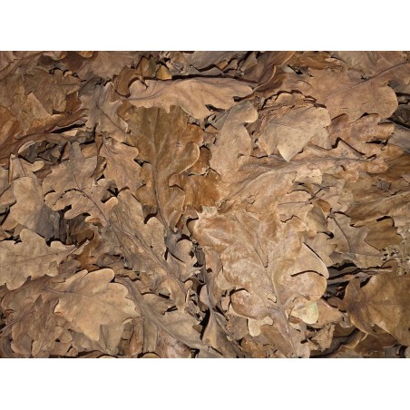 Sac de Feuilles Mortes 2,5L pour Isopodes