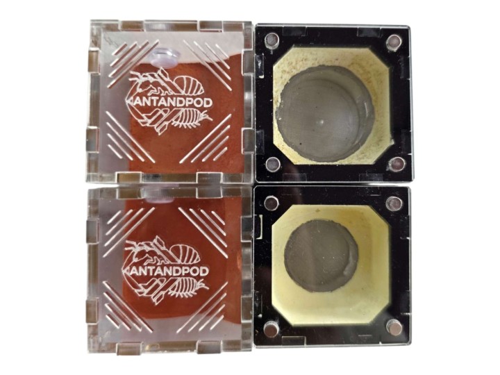 Nid de Fondation Antandpod : Module Intégré Nid & Aire de Chasse 🐜