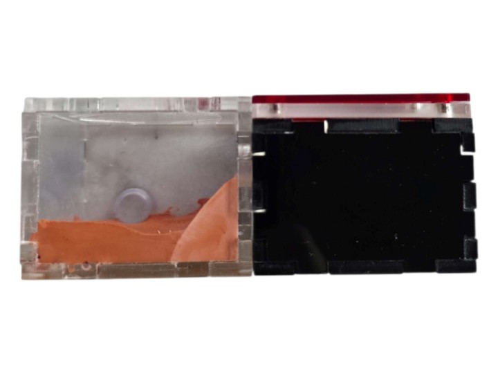 Nid de Fondation Antandpod : Module Intégré Nid & Aire de Chasse 🐜