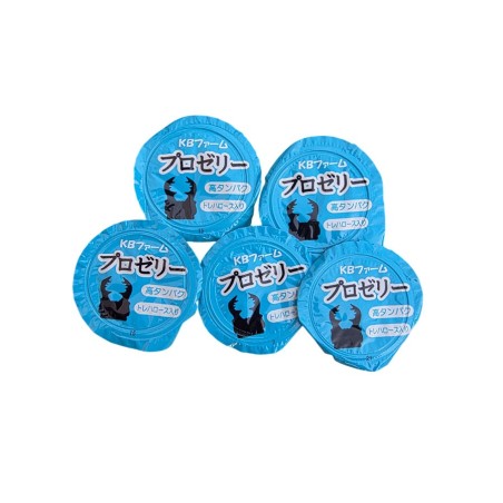 Beetle Jelly Pro banane protéinée – Nourriture premium pour coléoptères & fourmis